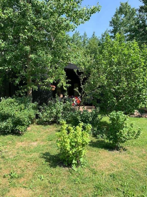 Small Cozy 3-Room House With Terrace & Large Garden Ilmandu Exteriör bild